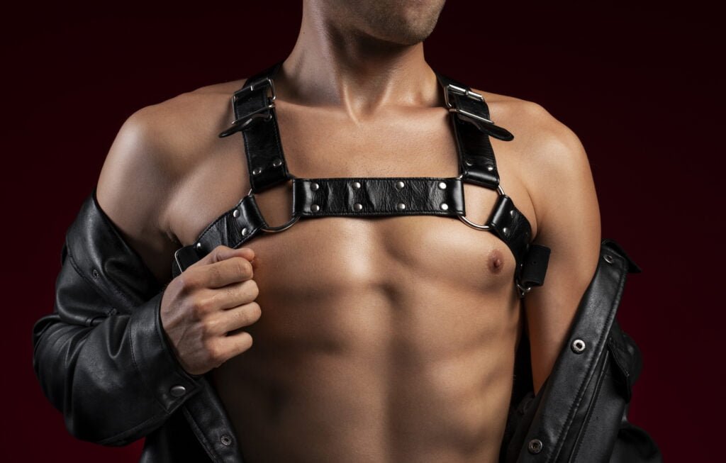 harnais de corps cuir